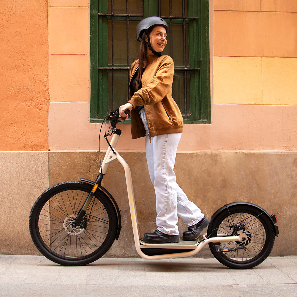 Cecotec Bicinete Urban Bicicleta Eléctrica 1000 W Autonomía Hasta 50 km Batería 13000 mAh Ruedas 20 y 26 Pulgadas