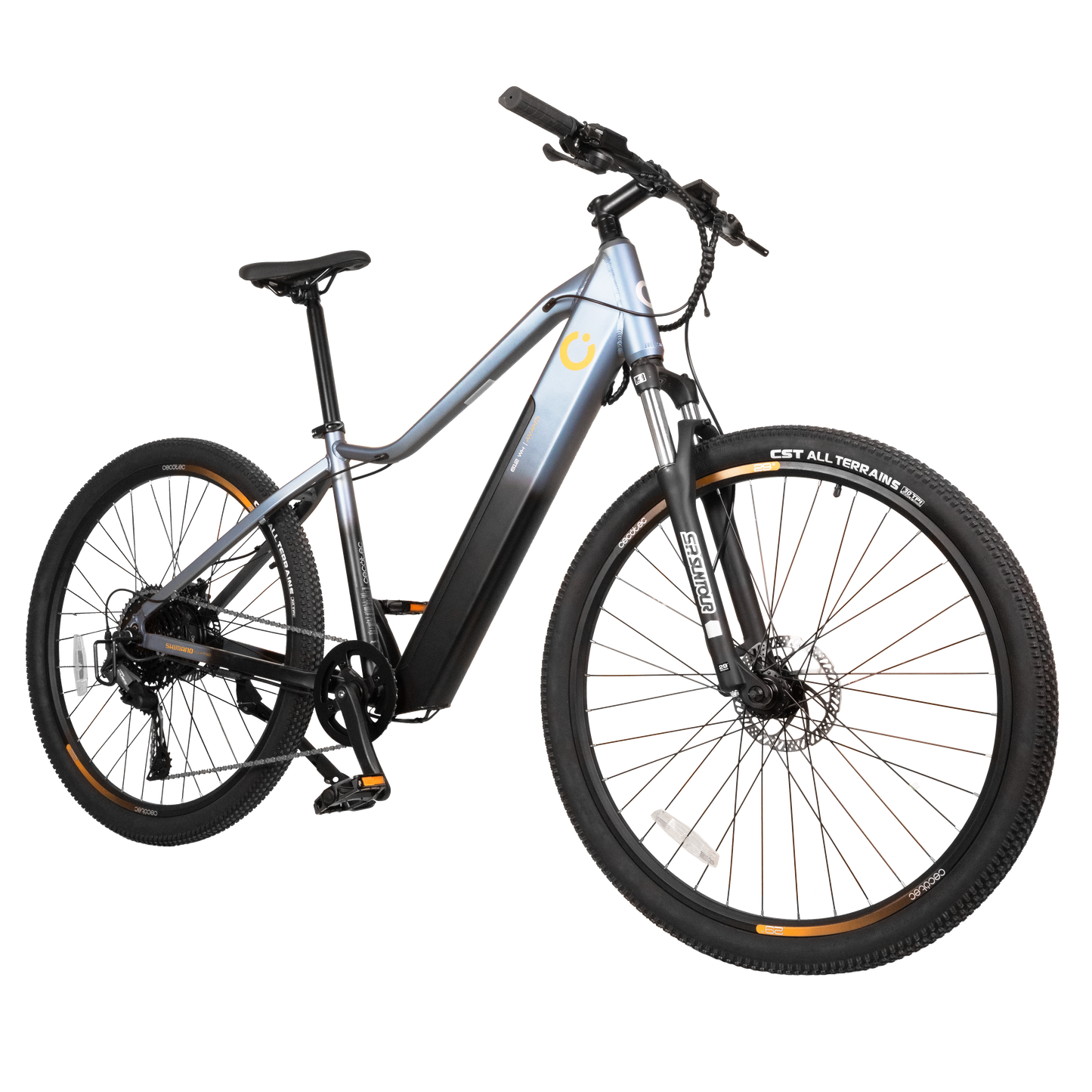 Cecotec Bicicleta Eléctrica Avanti 612 Wh Batería 250 W Autonomía Hasta 120 Km Asistencia 25 km por hora