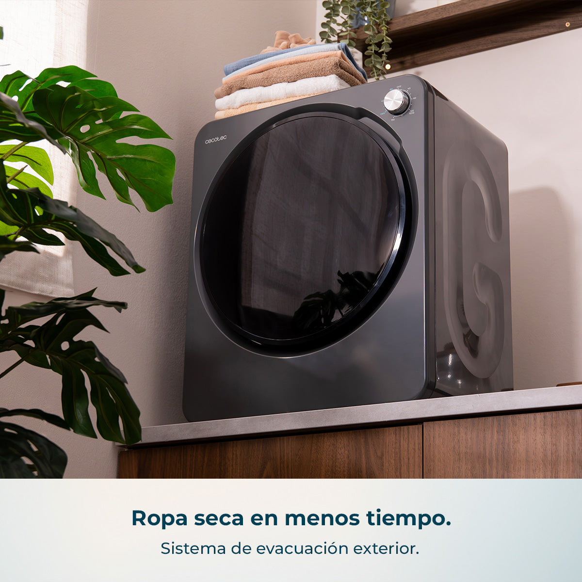 Cecotec Bolero DressCode Dry 3150V 2,5 kg