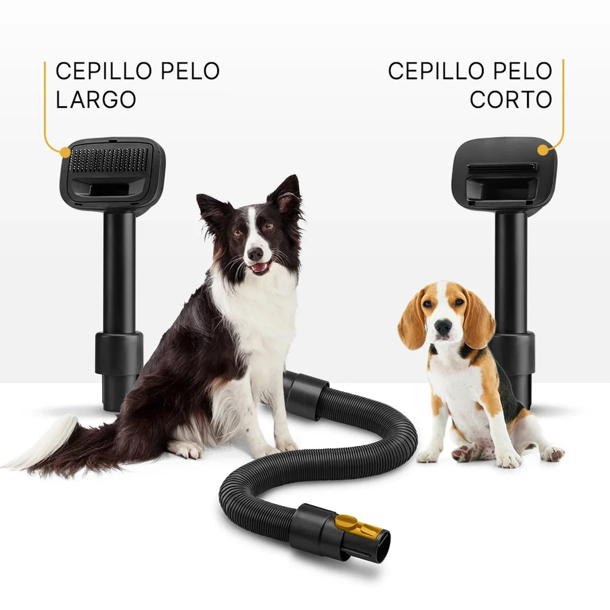 Aspirador escoba Sahara Petcare