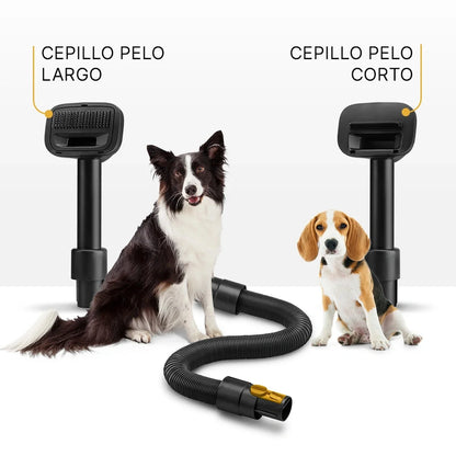 Aspirador escoba Sahara Petcare